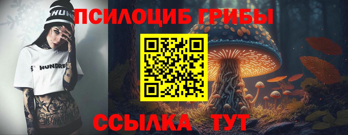 Галлюциногенные грибы мицелий Тула